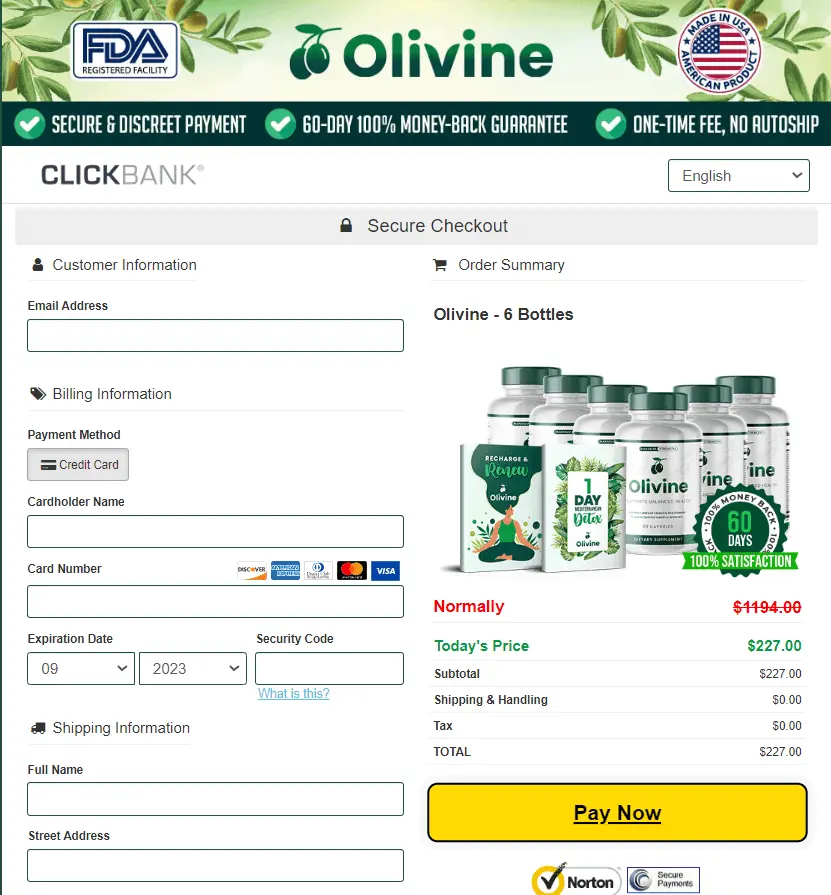 Olivine-Secure-Checkout